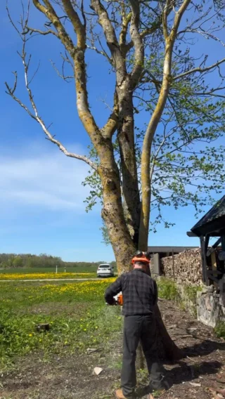 Instagram post from mares_de_picea. This post is in position 13.