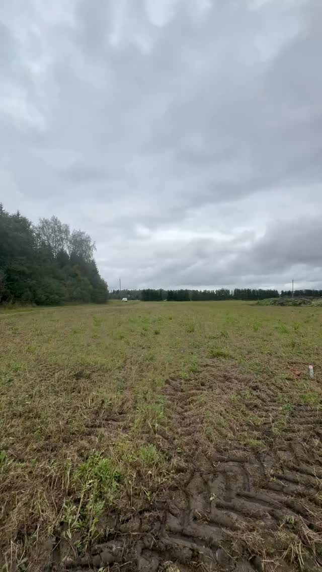 Instagram post from mares_de_picea. This post is in position 3.