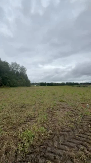 Instagram post from mares_de_picea. This post is in position 6.