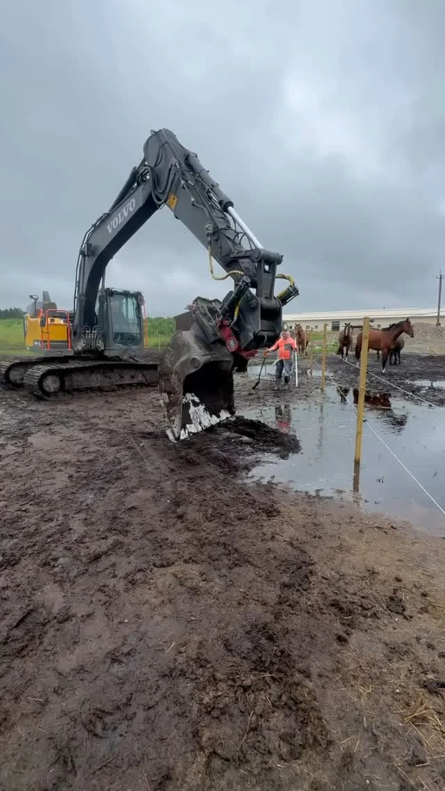 Instagram post from mares_de_picea. This post is in position 8.